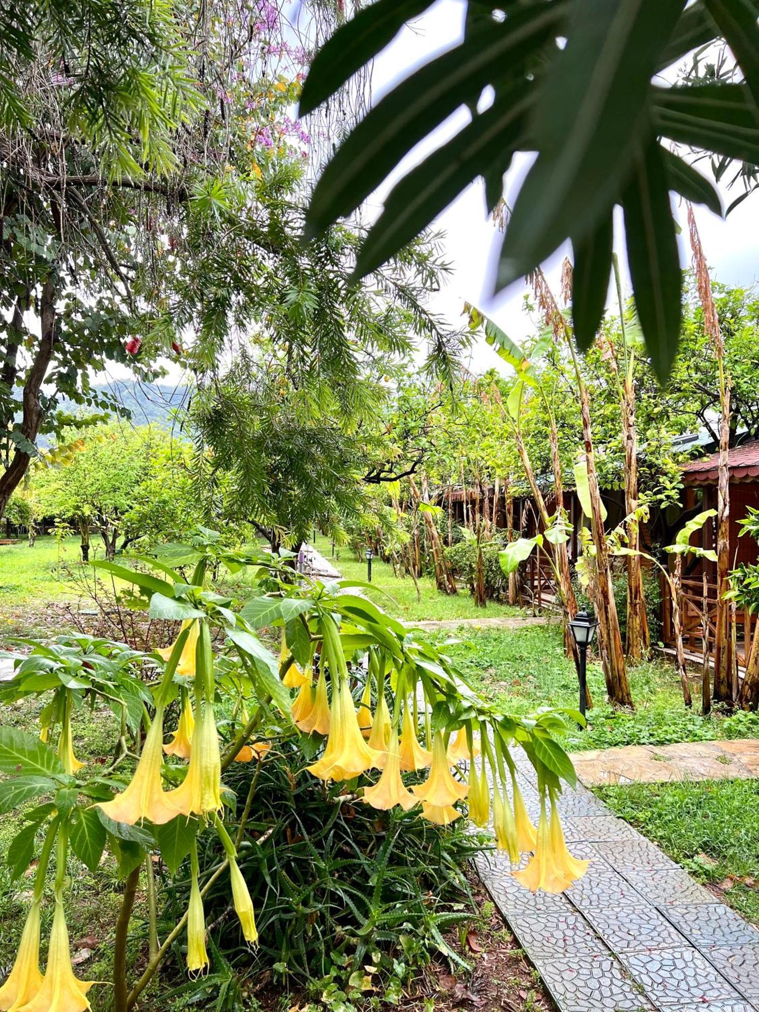 Holiday park Myland Nature