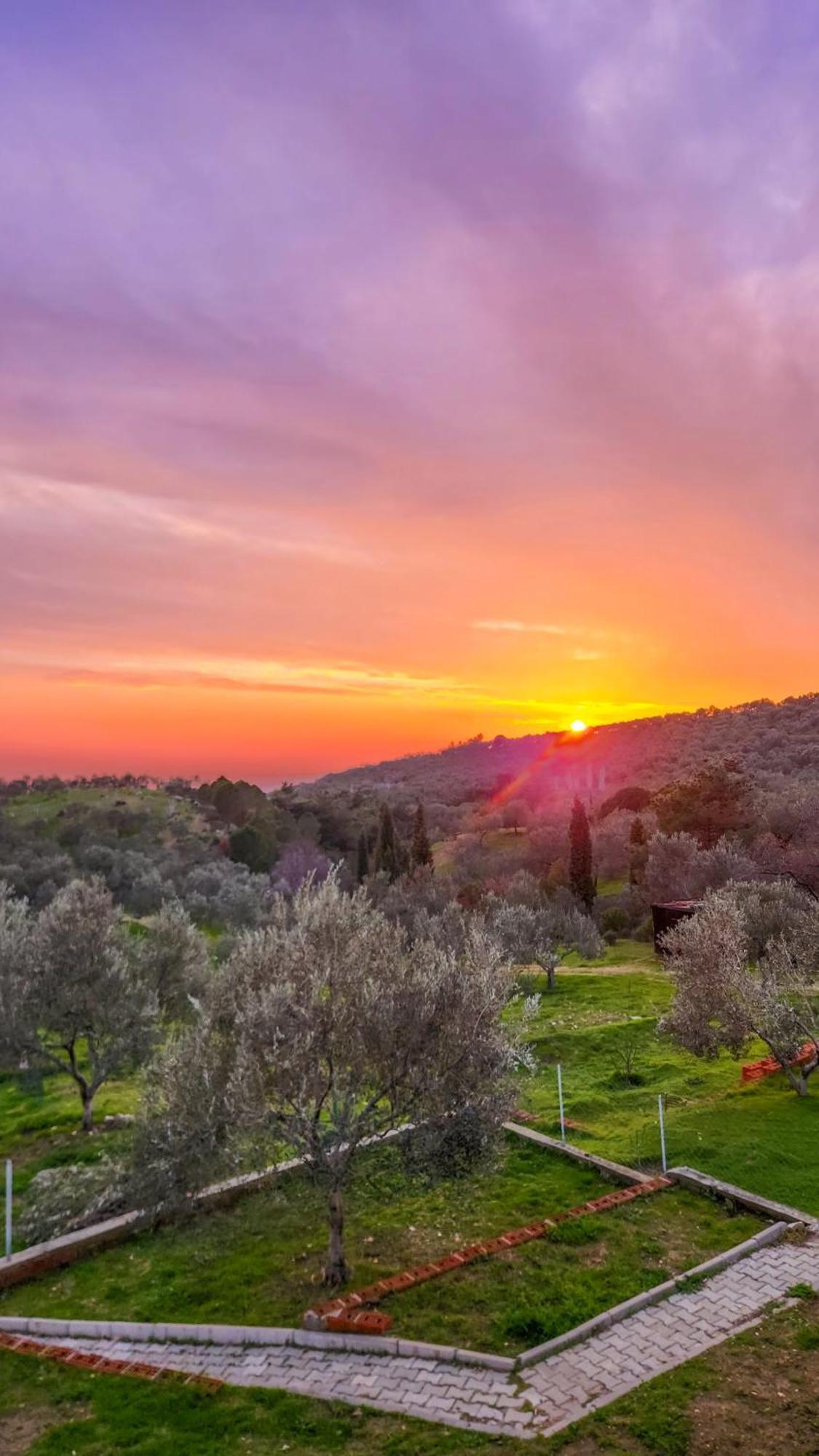 Campsite Oli & Istanbul