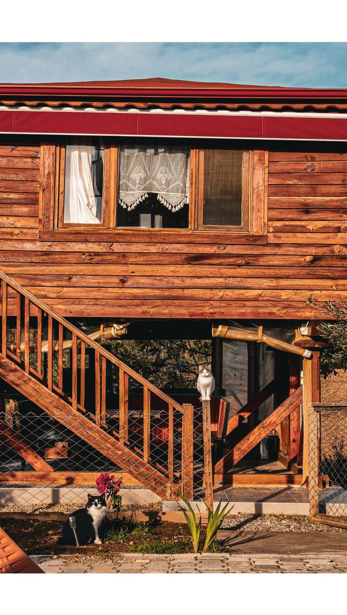 Oli & Campsite Istanbul