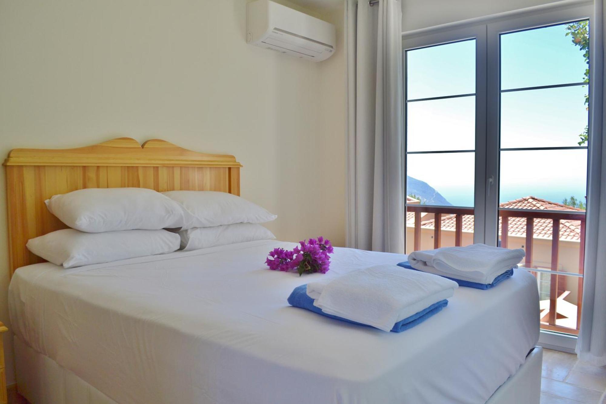 Zeytin Kalkan *