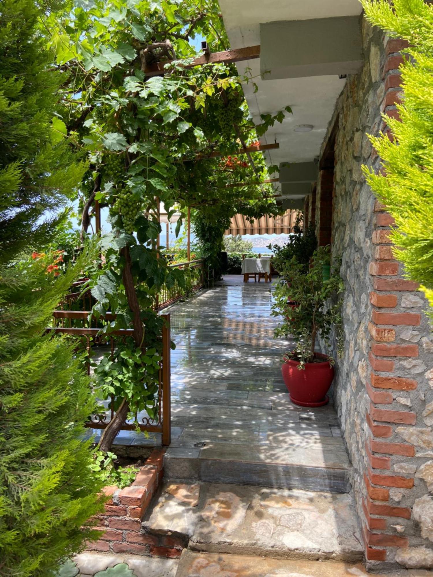 Suna House Guest house *