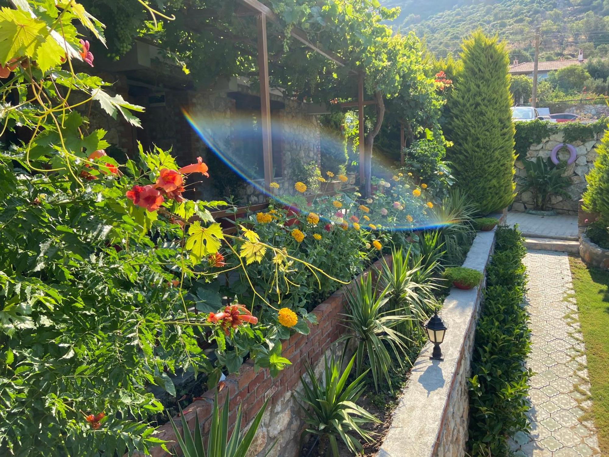 Suna House Guest house Sogut (Aegean)