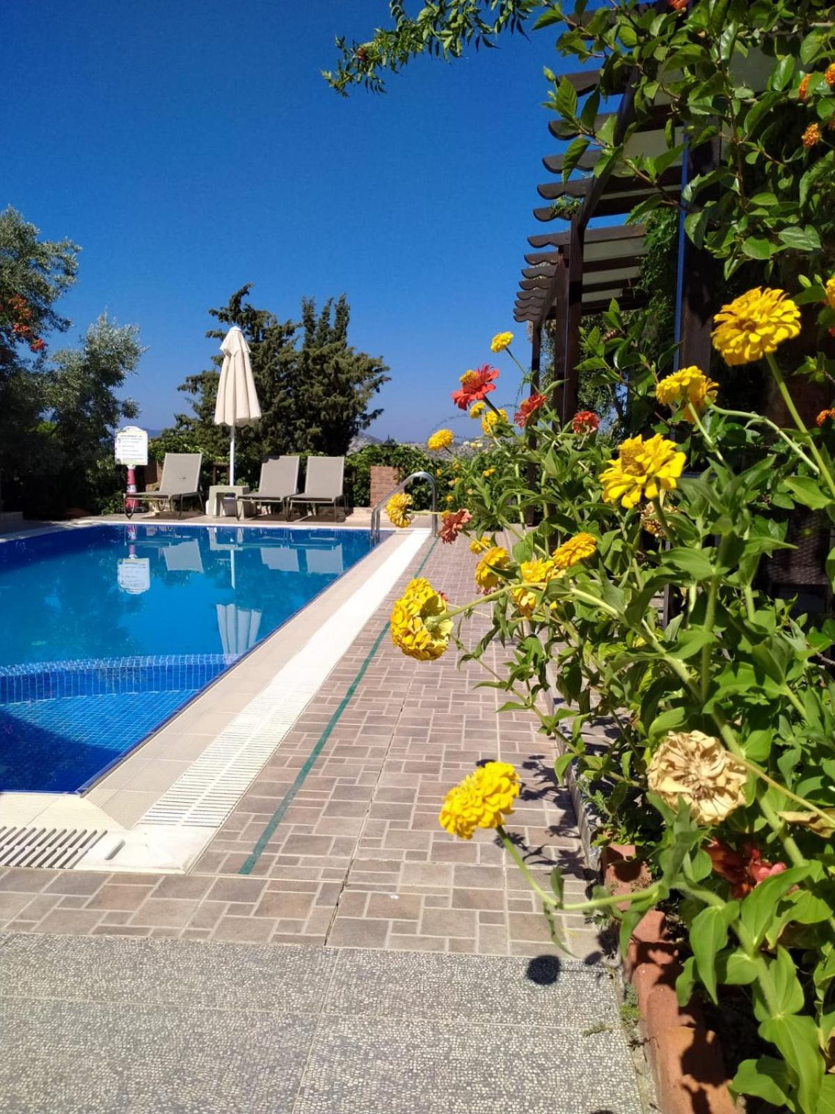 Guest house Suna House *