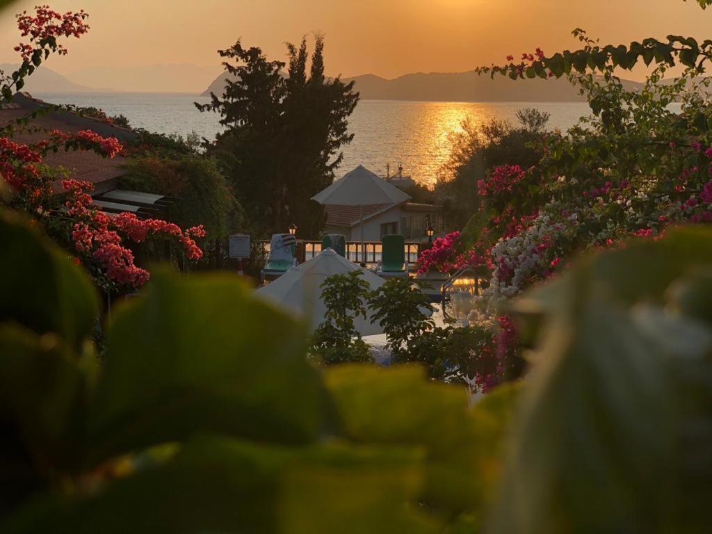 Guest house Suna House