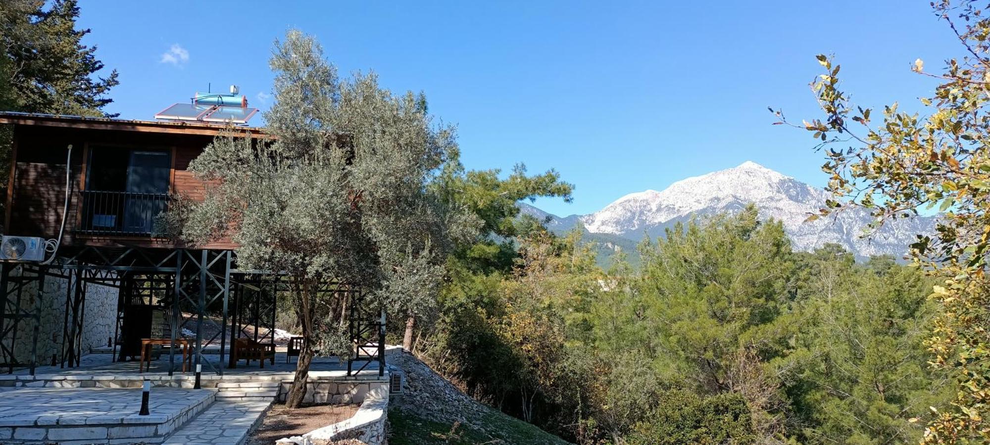 Hotel Lycia Nature House 2*