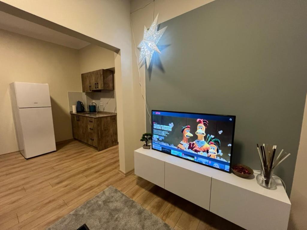 Apartment Roj *