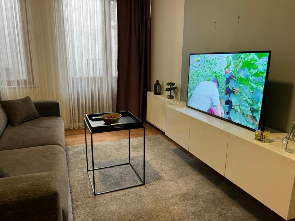 Apartment Roj