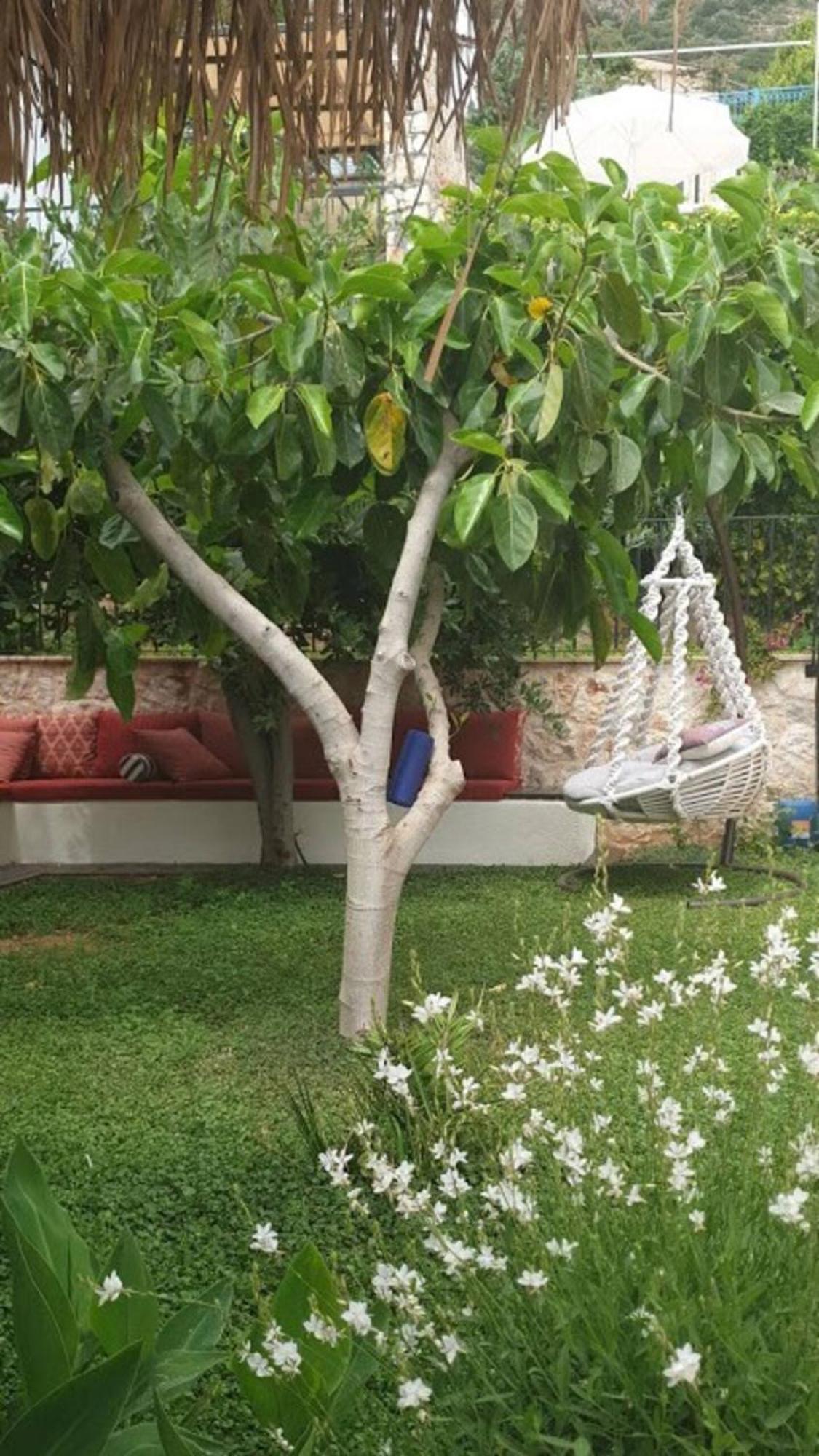 Villa Rubick, A Piece Of Ancient Lycia