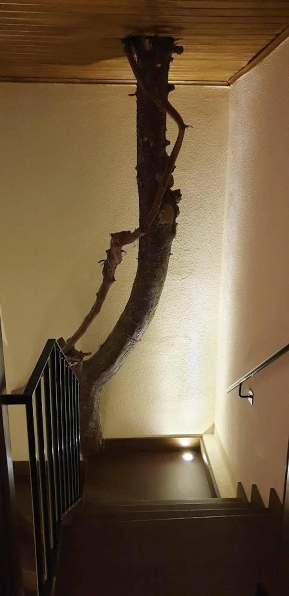 Rubick, A Piece Of Ancient Lycia Villa Kas