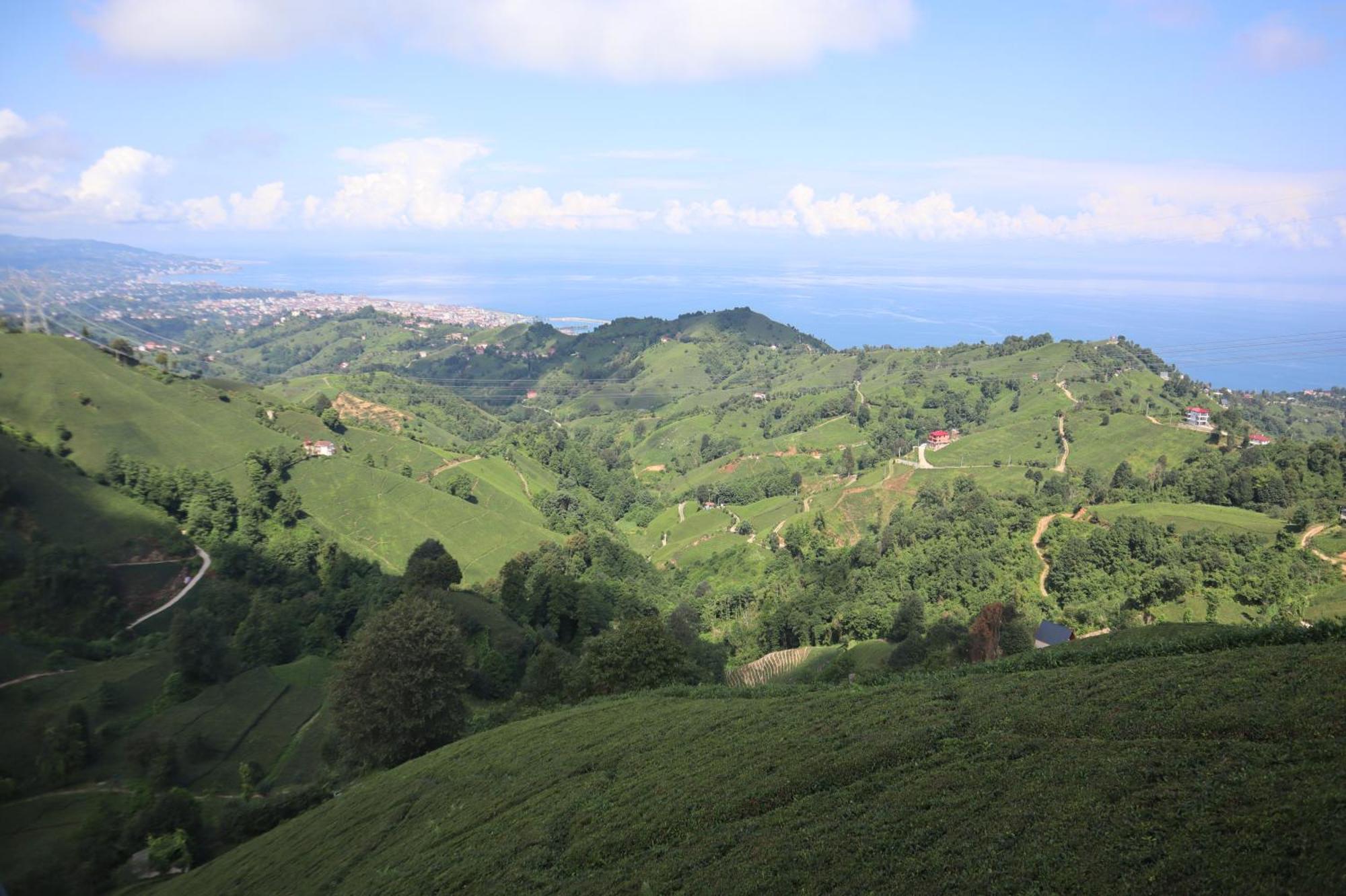 Villa Kartal Goezue Tesisi
