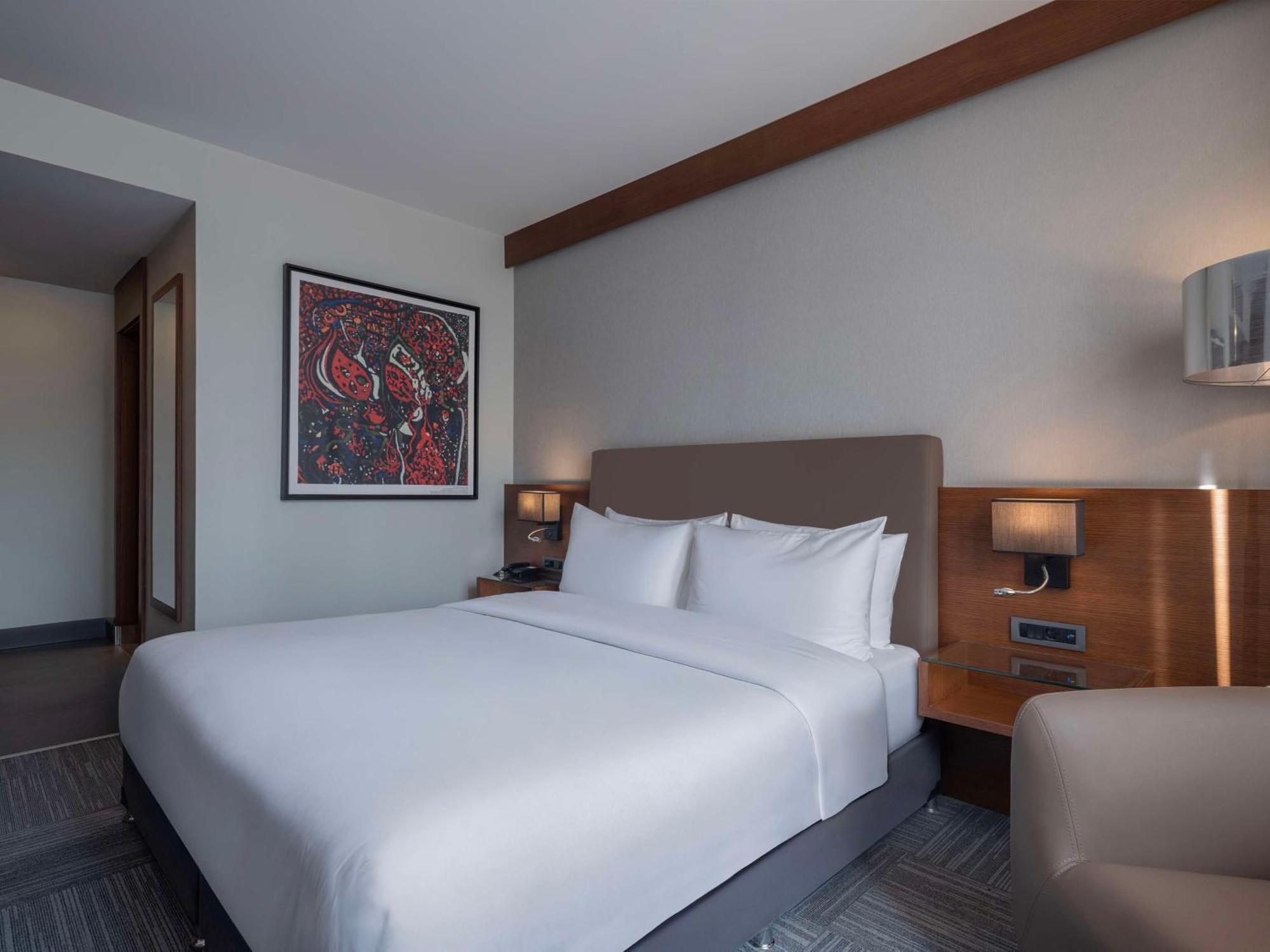 Hotel Radisson Blu Cankaya Ankara