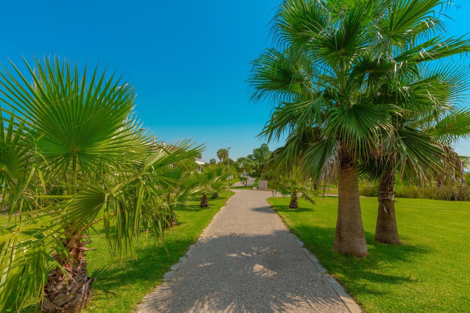 Sural Resort