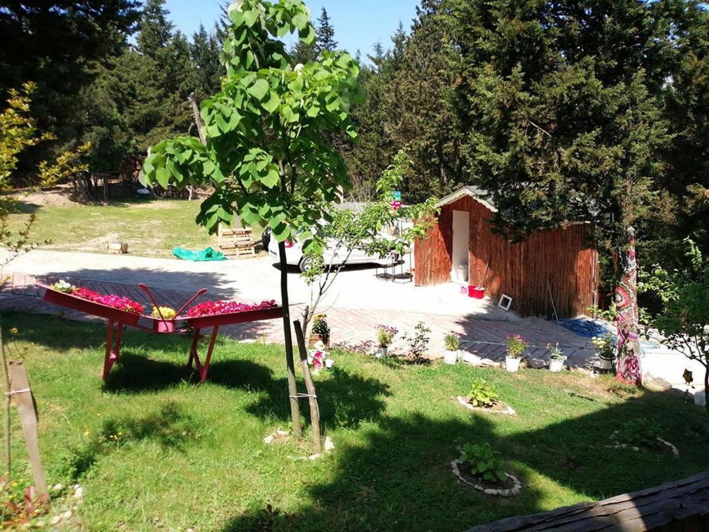 Bellavista 3* Sile