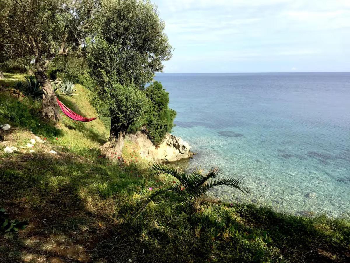 Dream House By The Aegean Coast Dikili