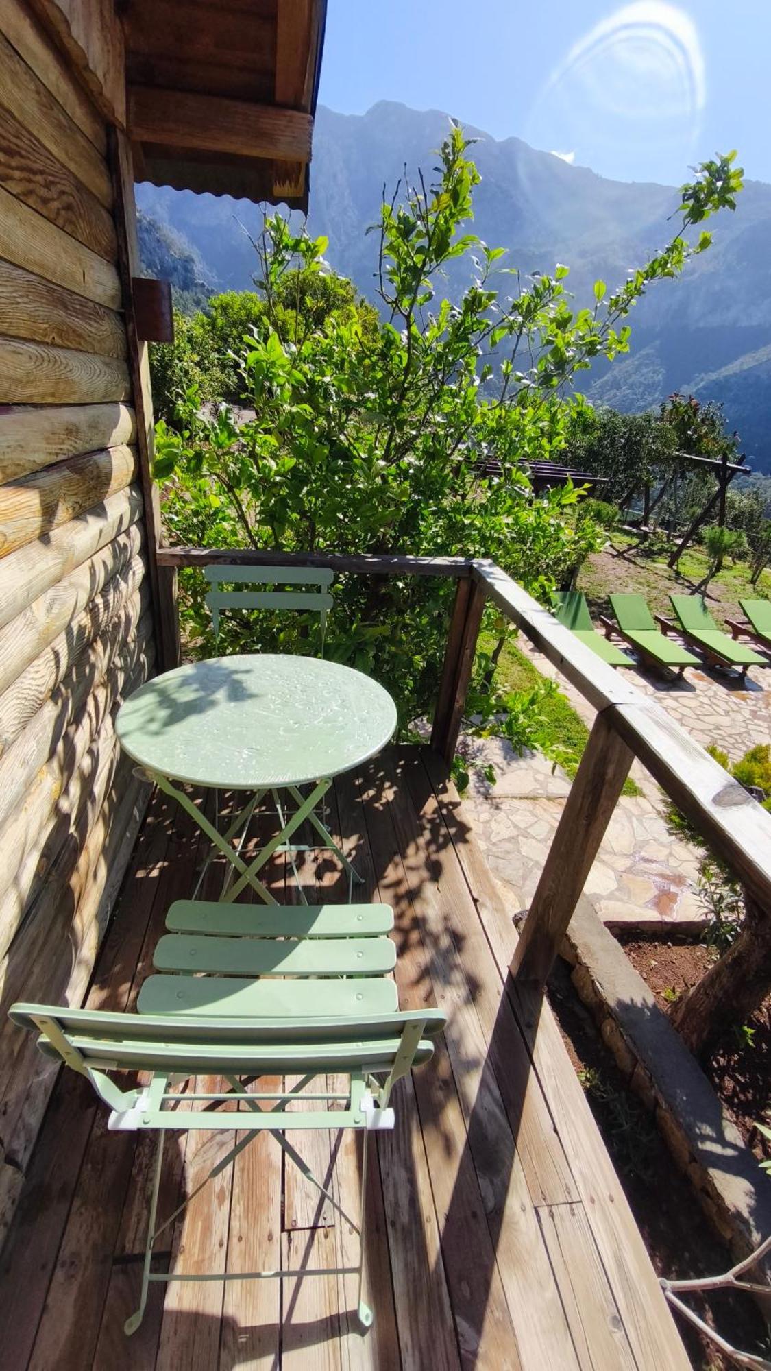 Olive Garden Kabak Faralya