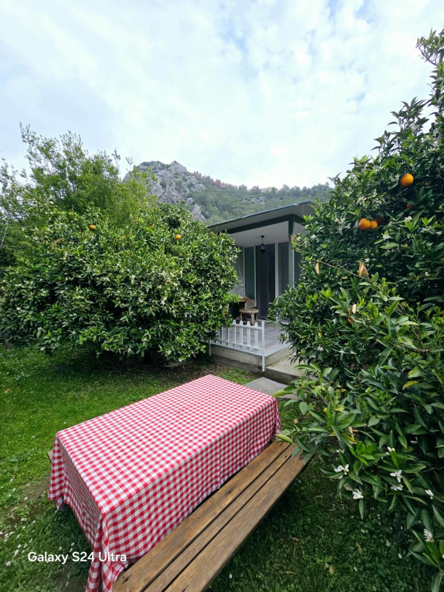 Lodge Portalimo - Adult Only +12 *