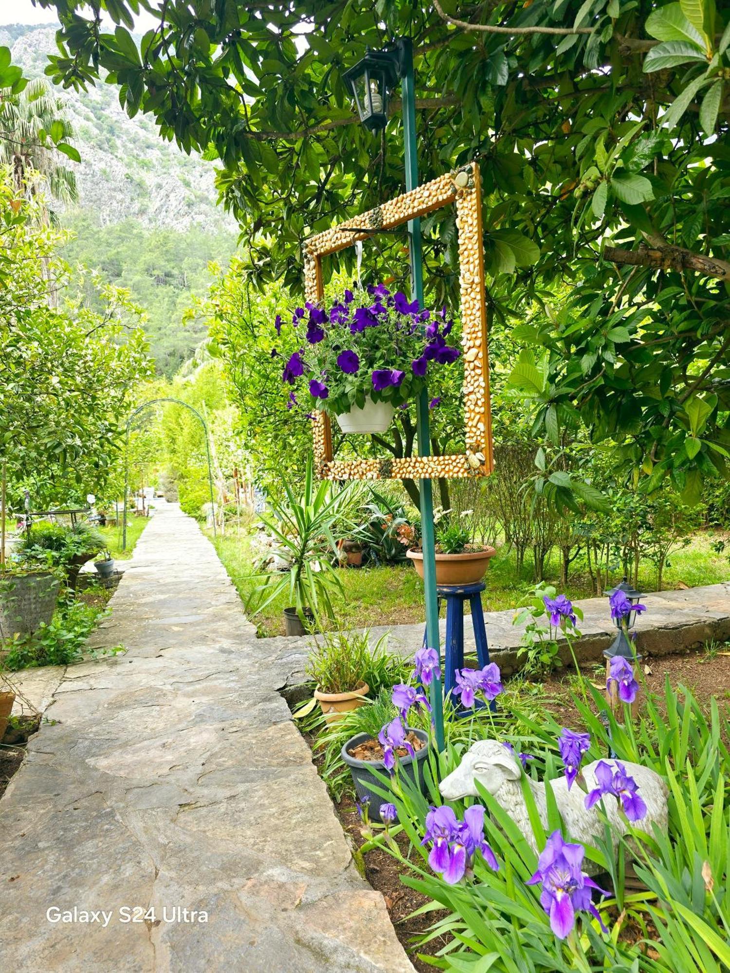 Lodge Portalimo - Adult Only +12 Cirali