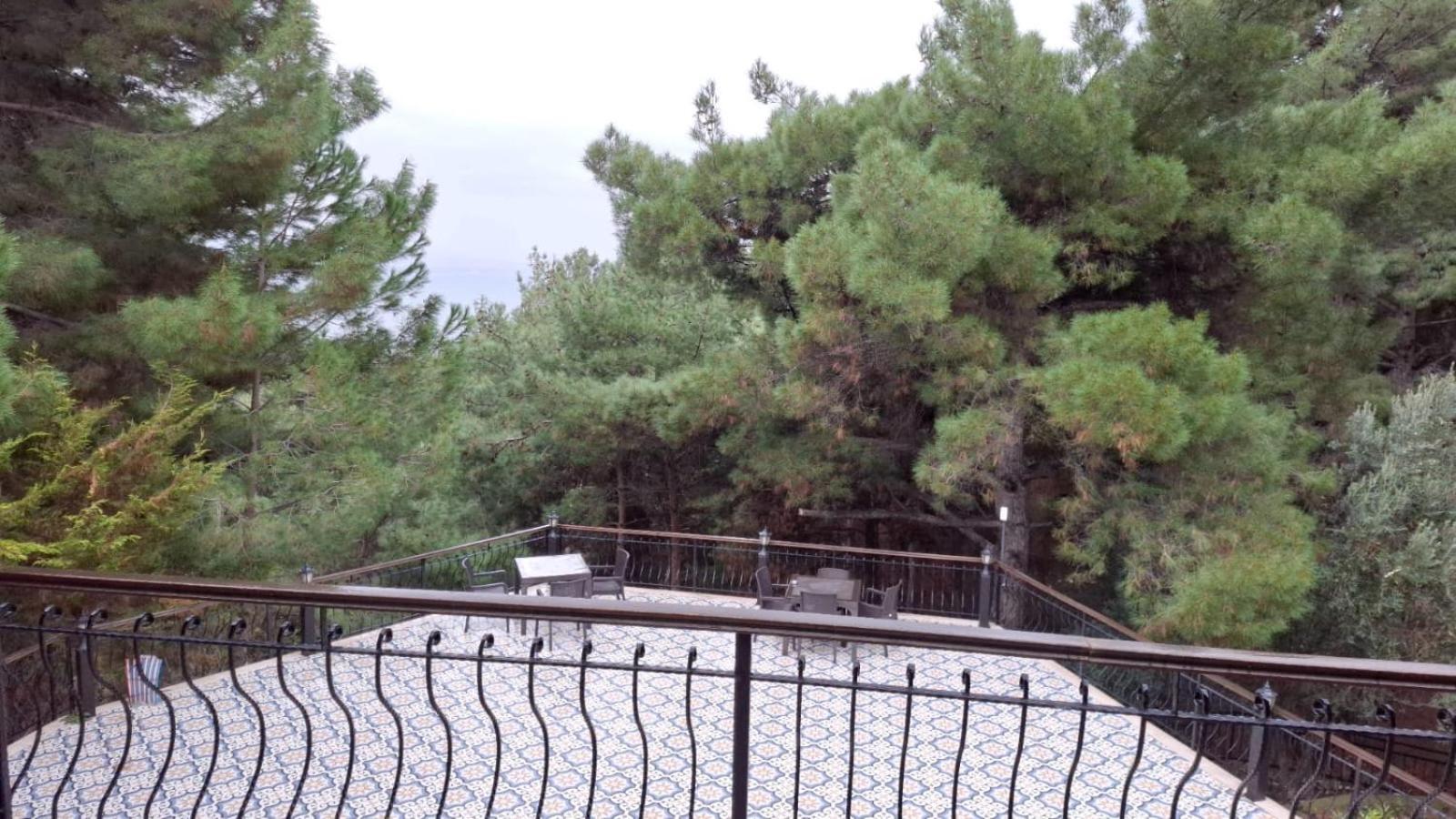 Dusler Vadisi Kazdaglari * Edremit (Balikesir)