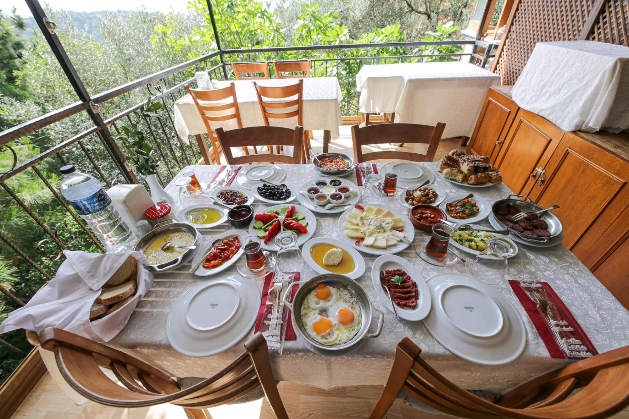 Dusler Vadisi Kazdaglari Hotel Edremit (Balikesir)