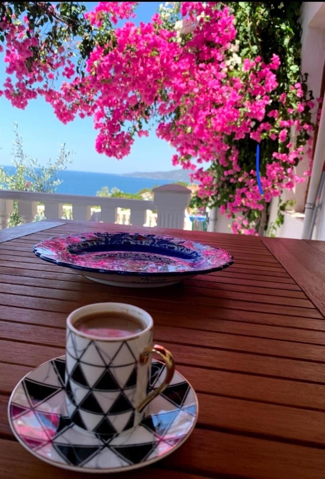 Sevinc Papatya House * Milas