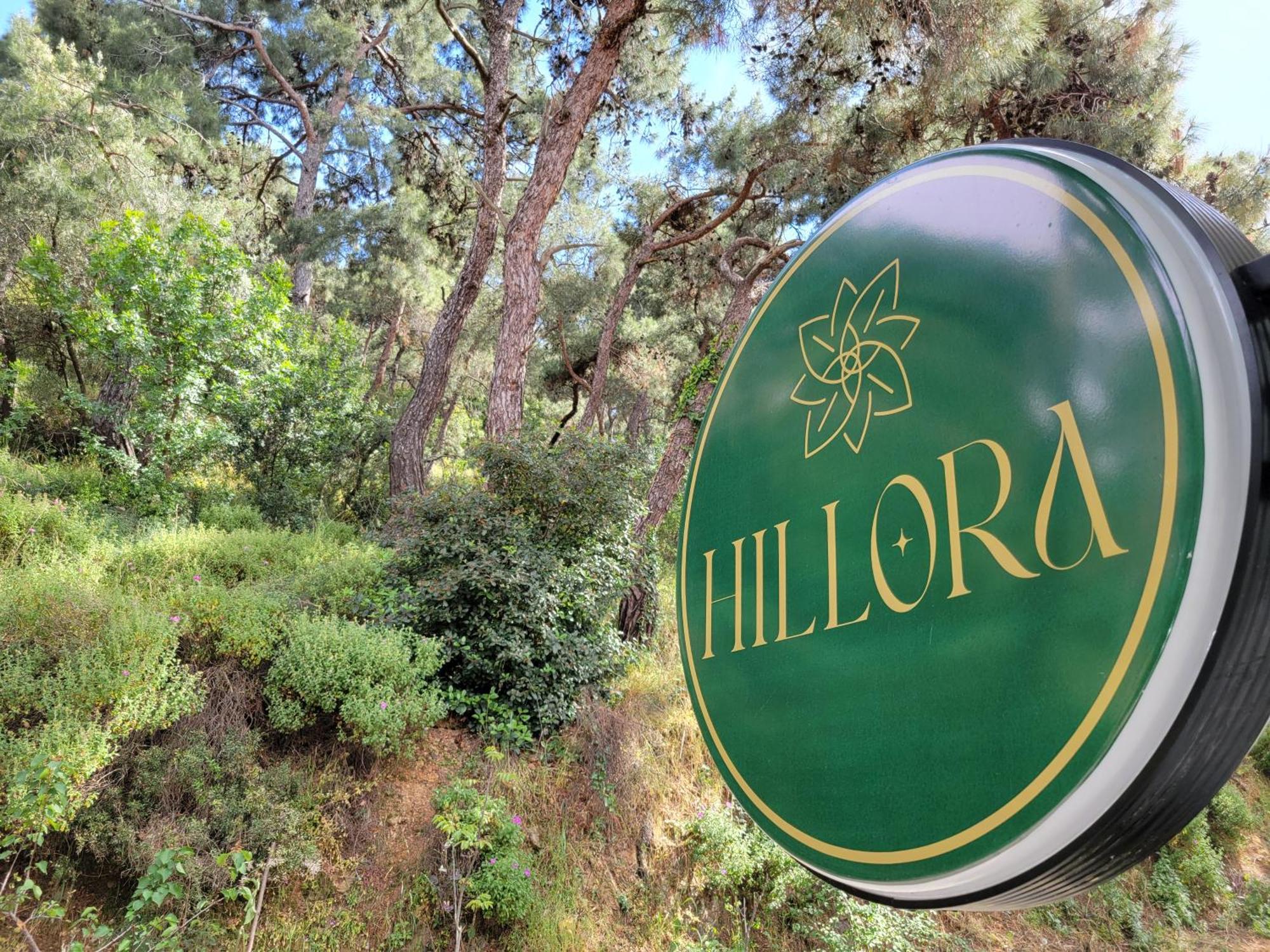 Hillora Buyukada *