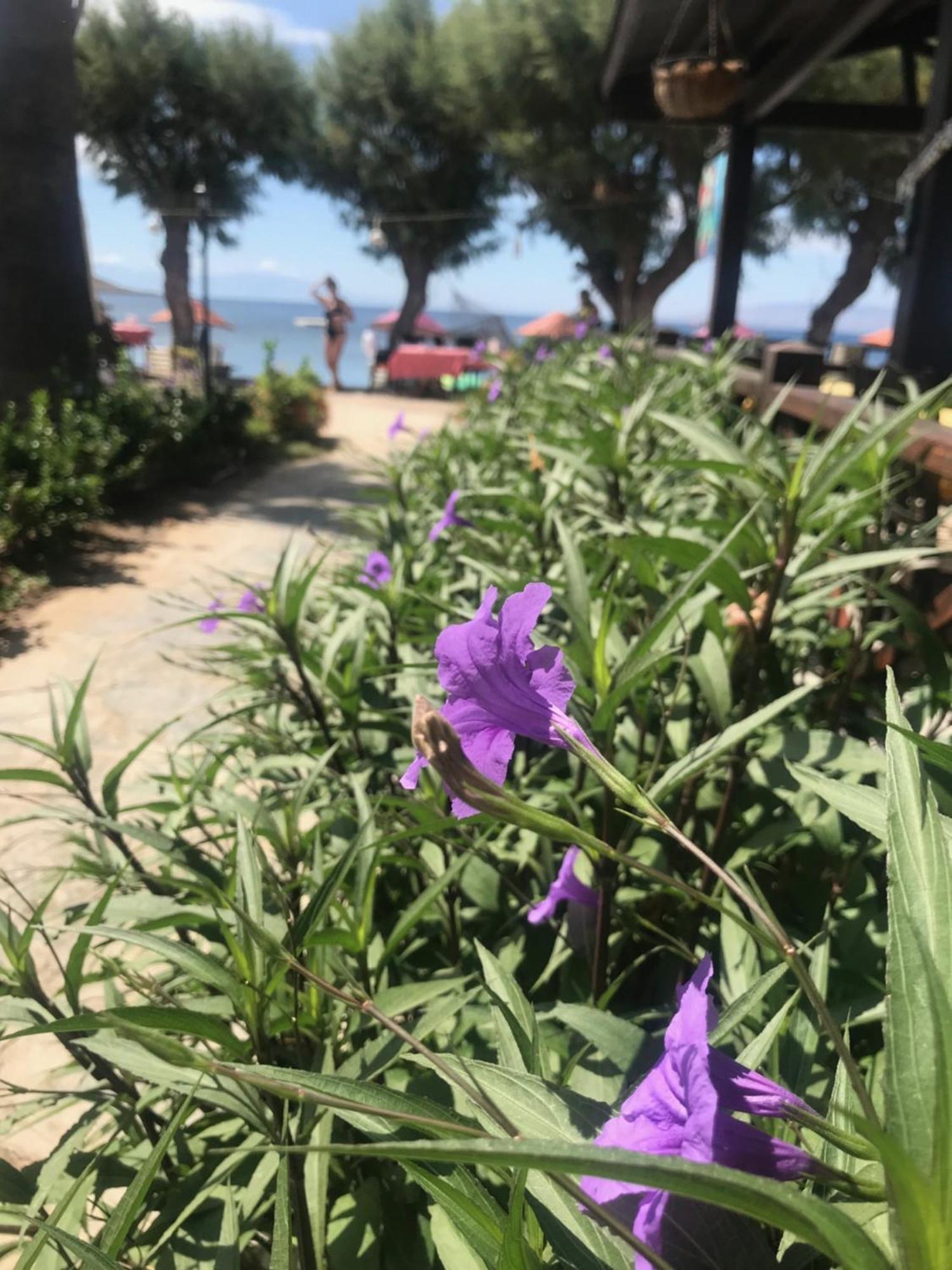 Hotel Yilmaz Ortakent