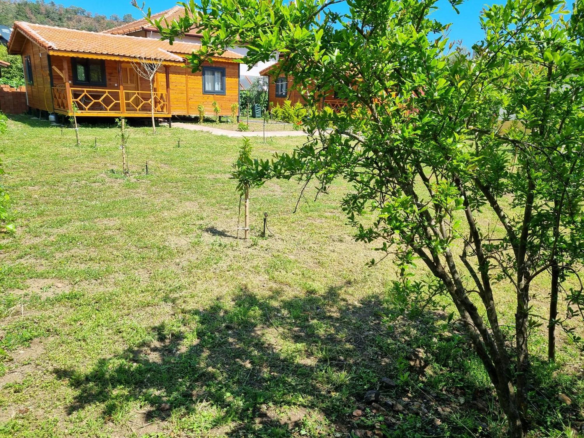 Guest house Ugur *