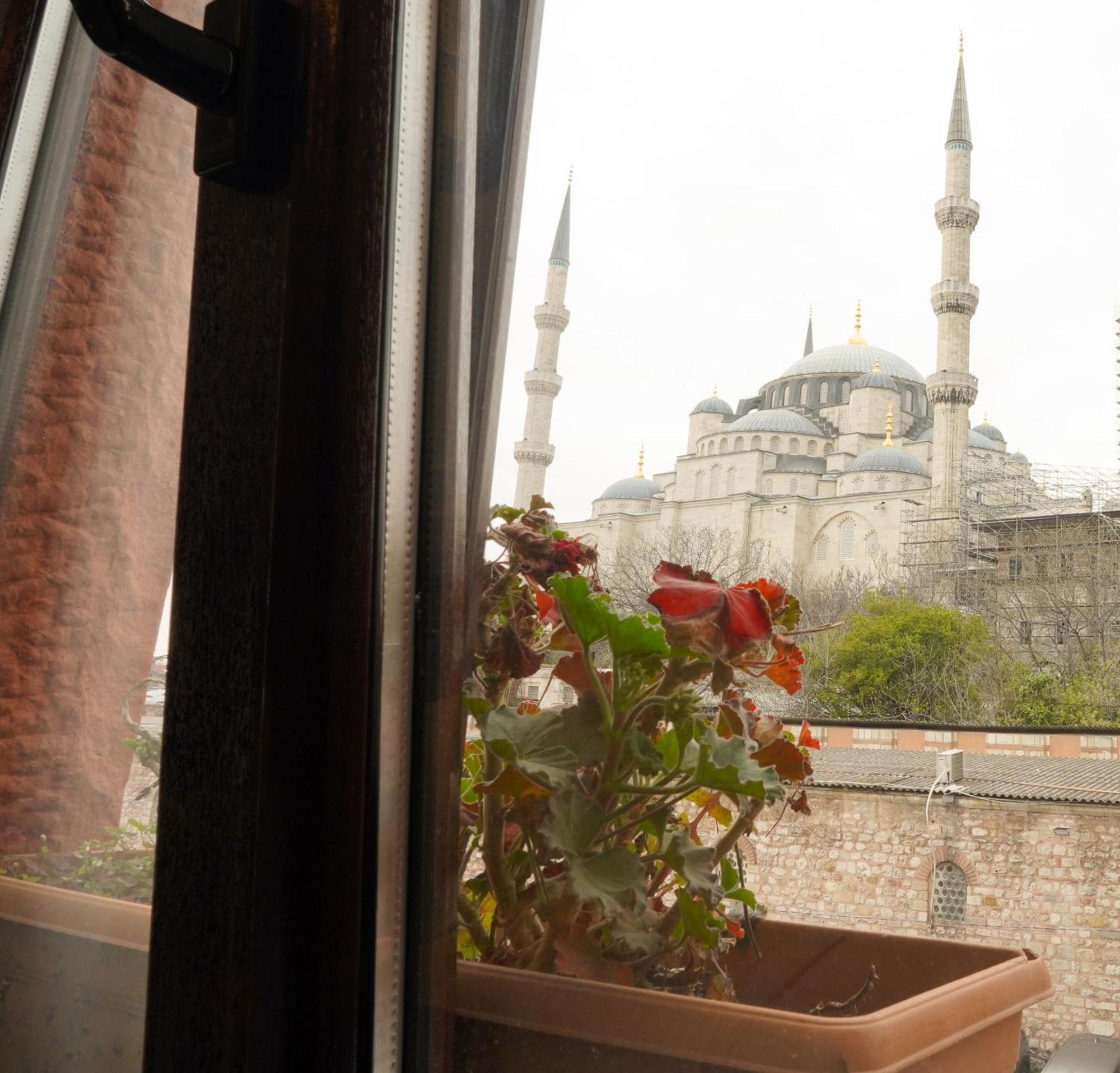 Guest house Ararat 2*