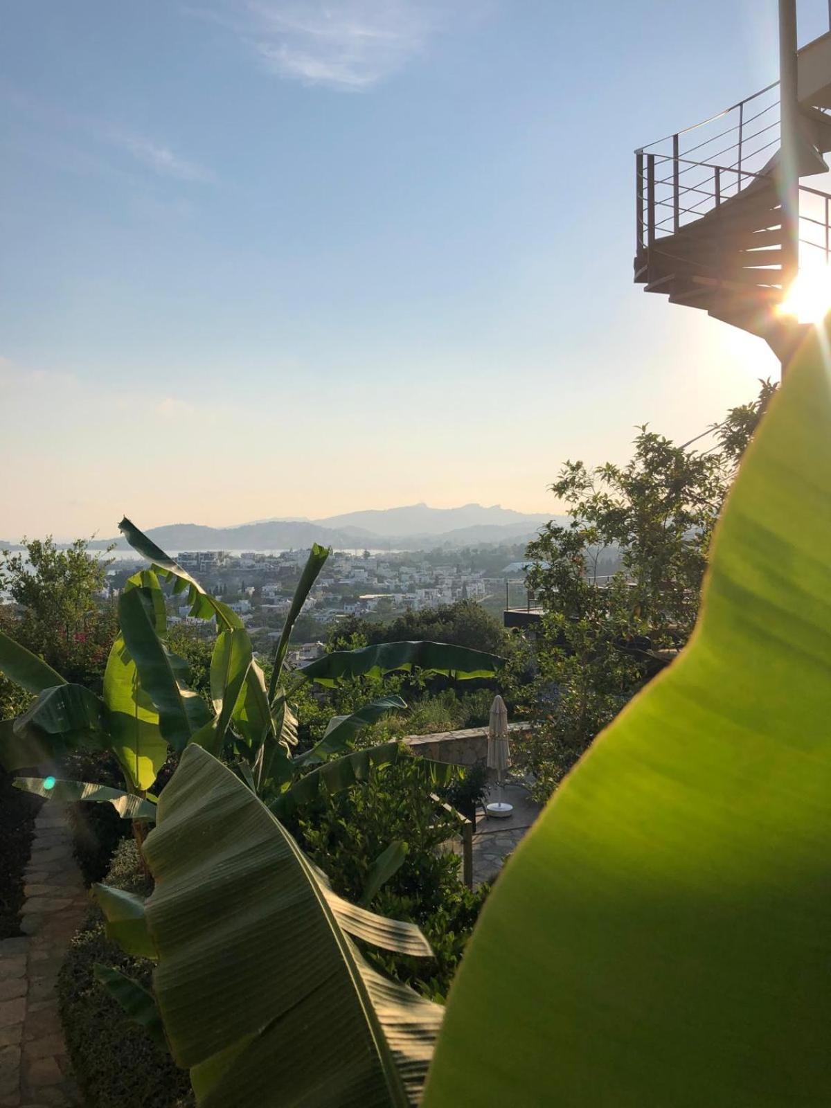 Spektr Boutique Hotel Yalikavak