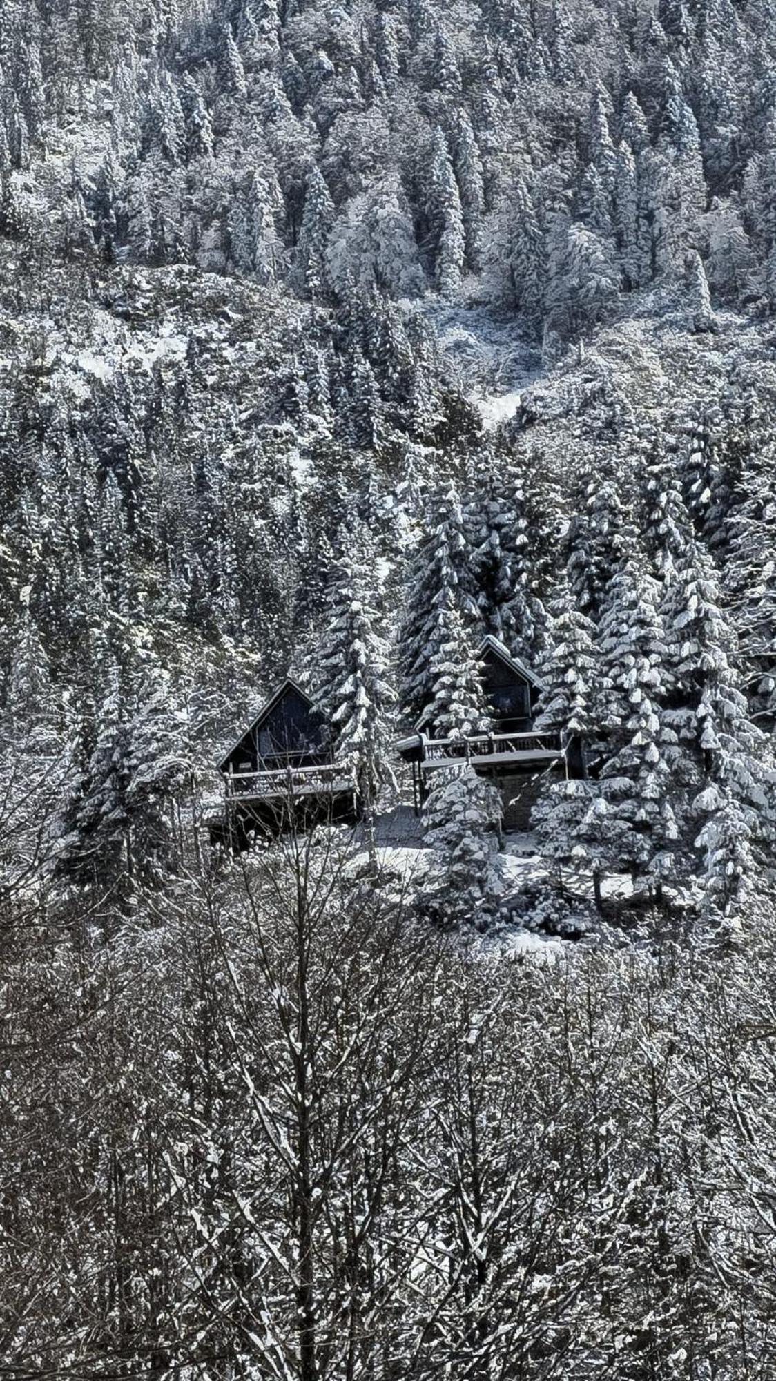 Gueven Dag Evi Chalet *