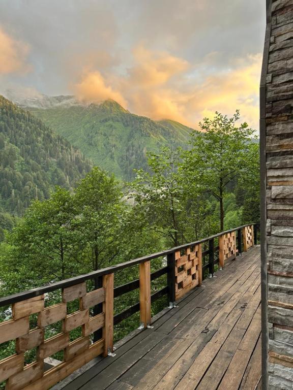 Lodge Ayder Alinoglu