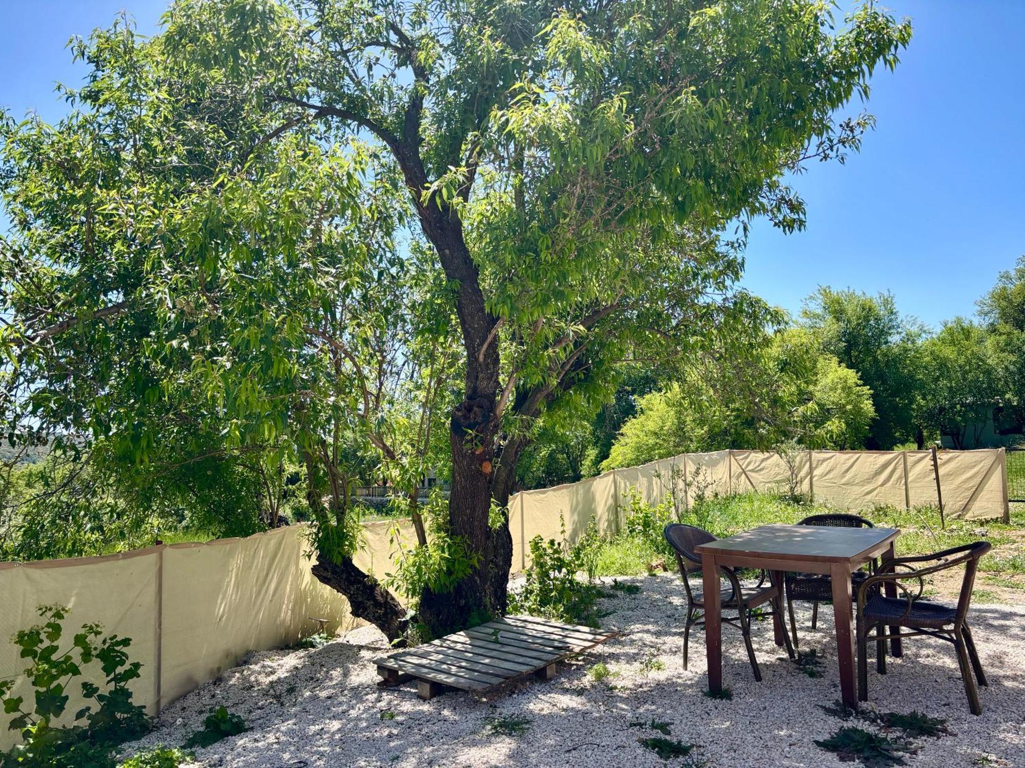 Apartment Bademlique Stone Kas