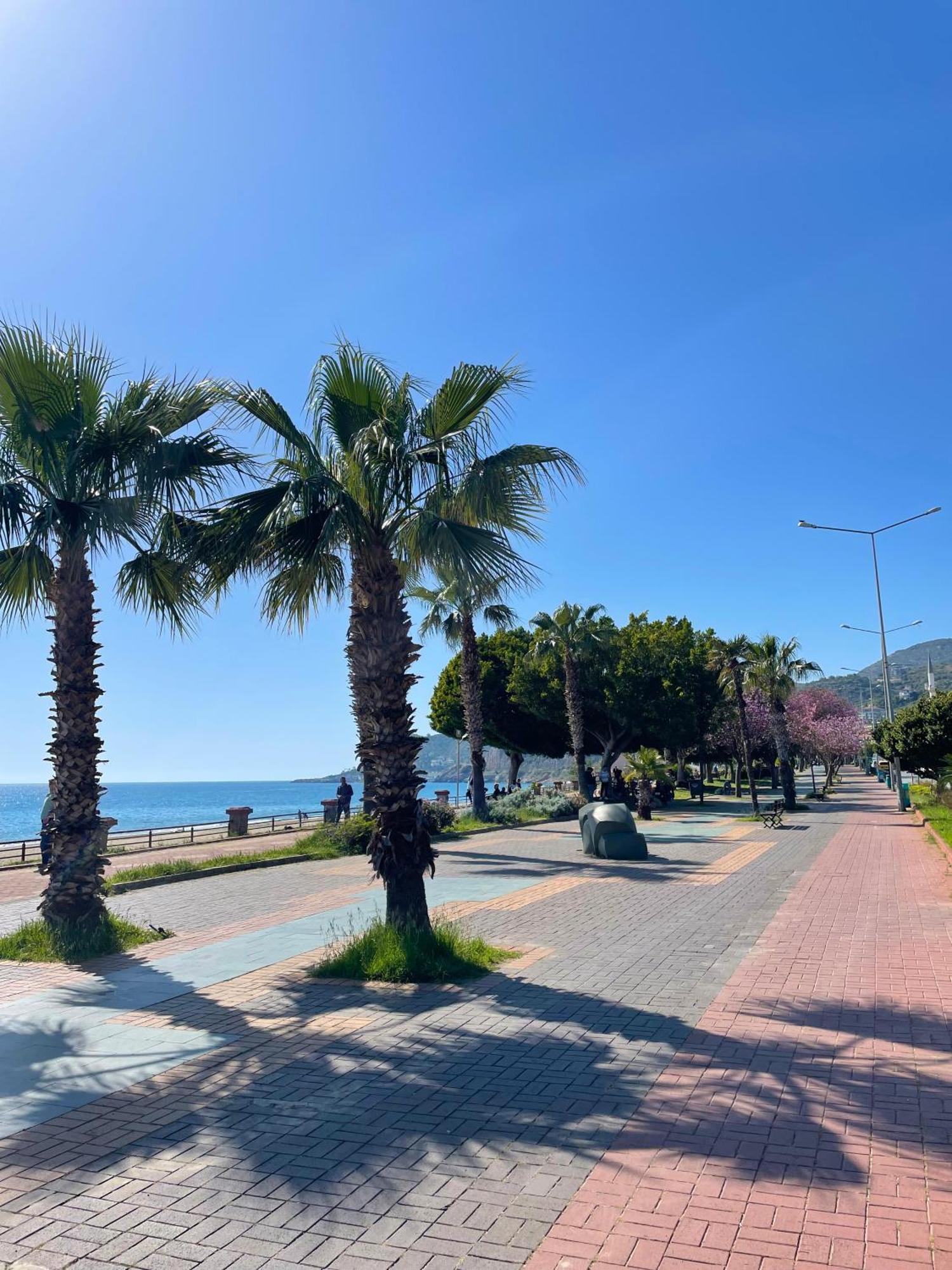 Sa Apartments! 500m To The Cleopatra *