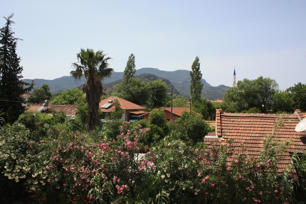 Garden *