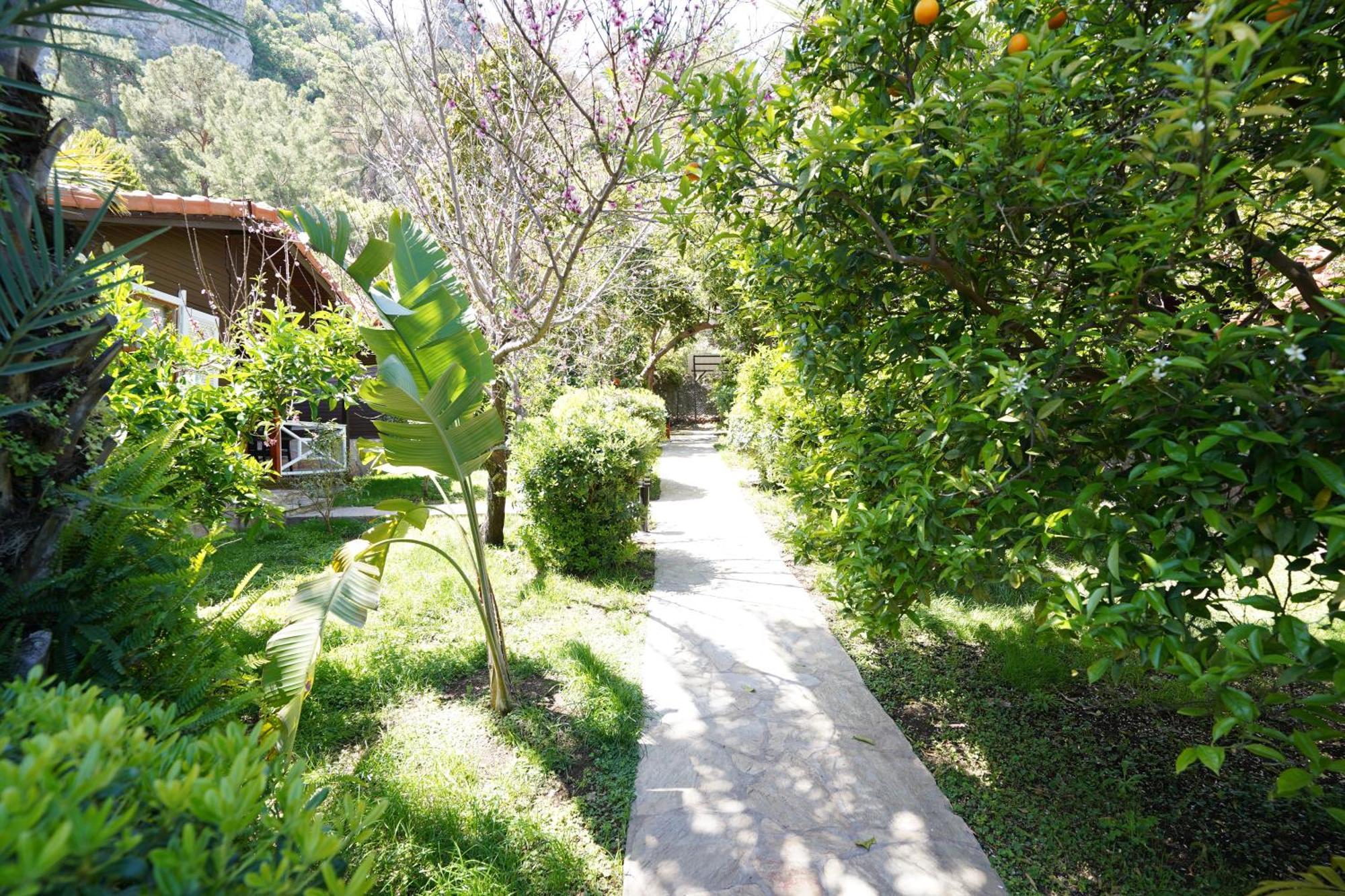 Cirali Hotel 3*