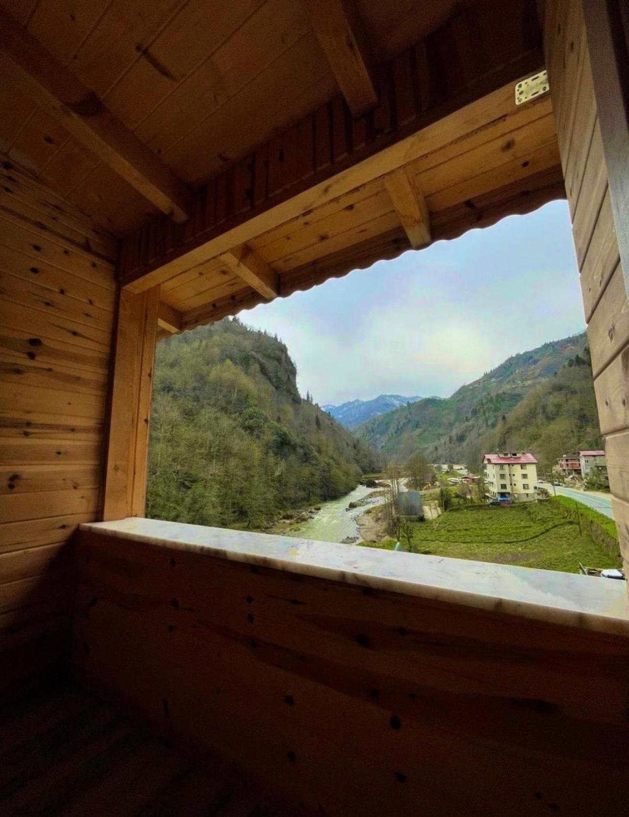 Valley Rize