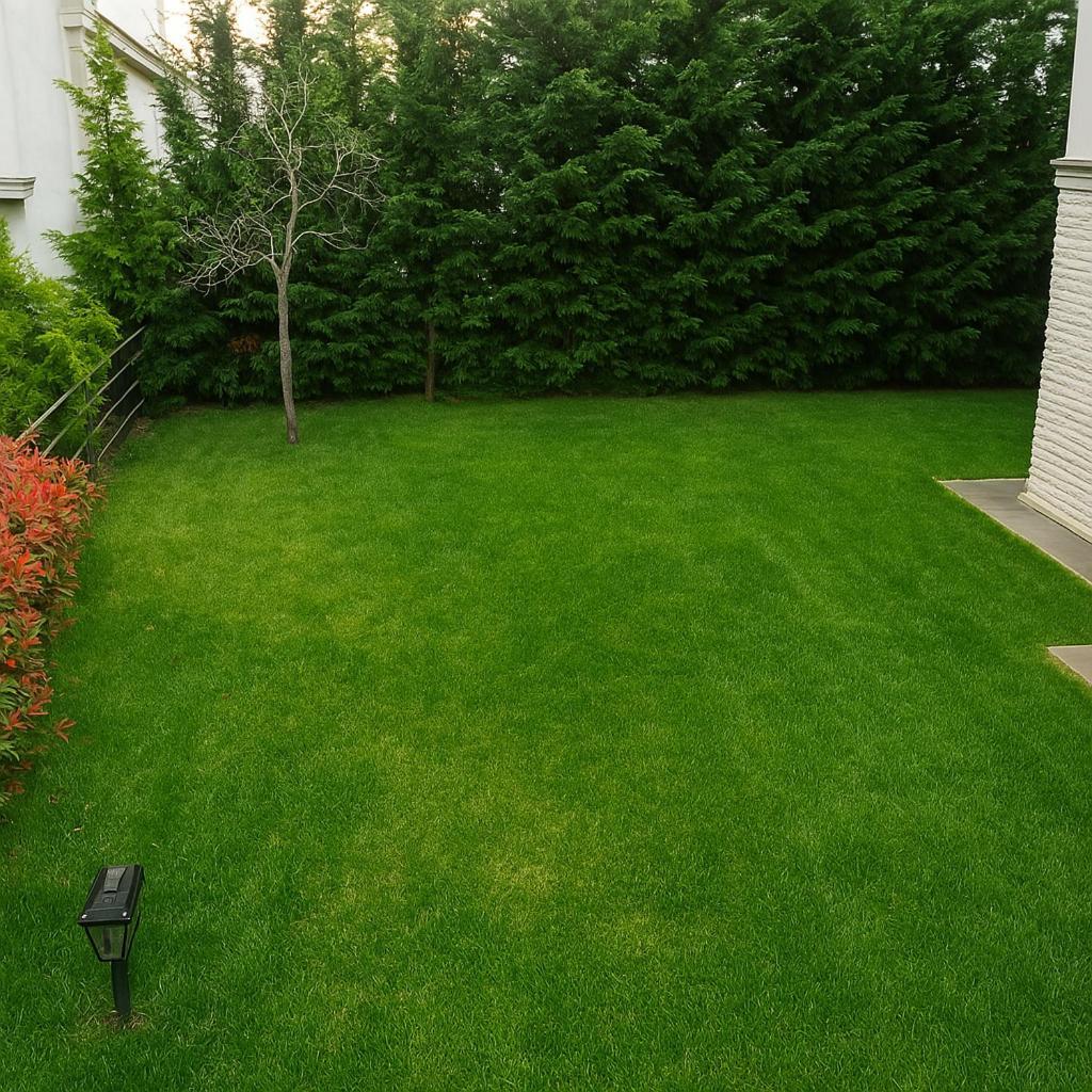 Villa Nora Marmara Luxury In Istanbul *