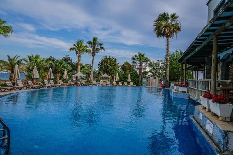 Hotel Amilla 4*