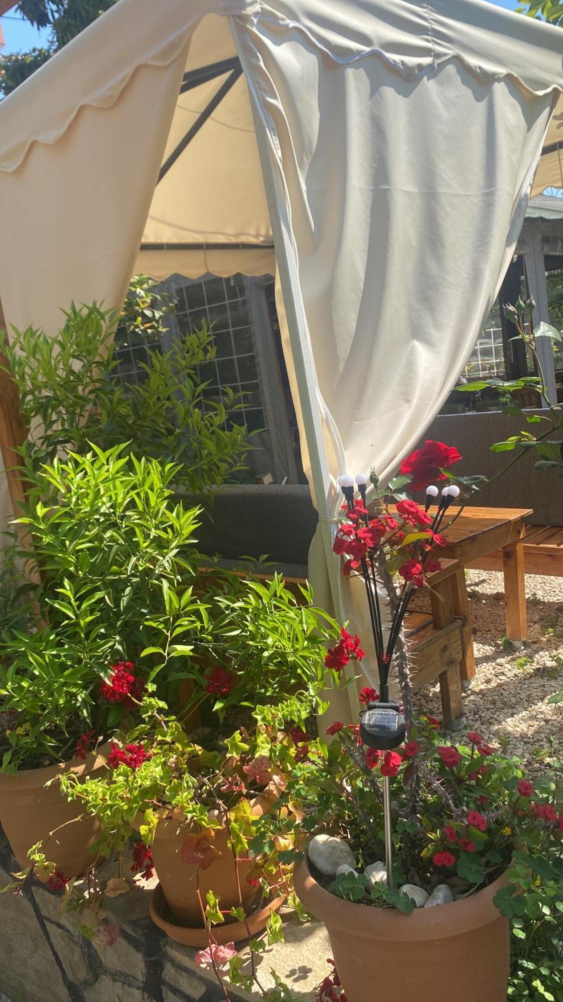 Bed & Breakfast Rosemary 4*
