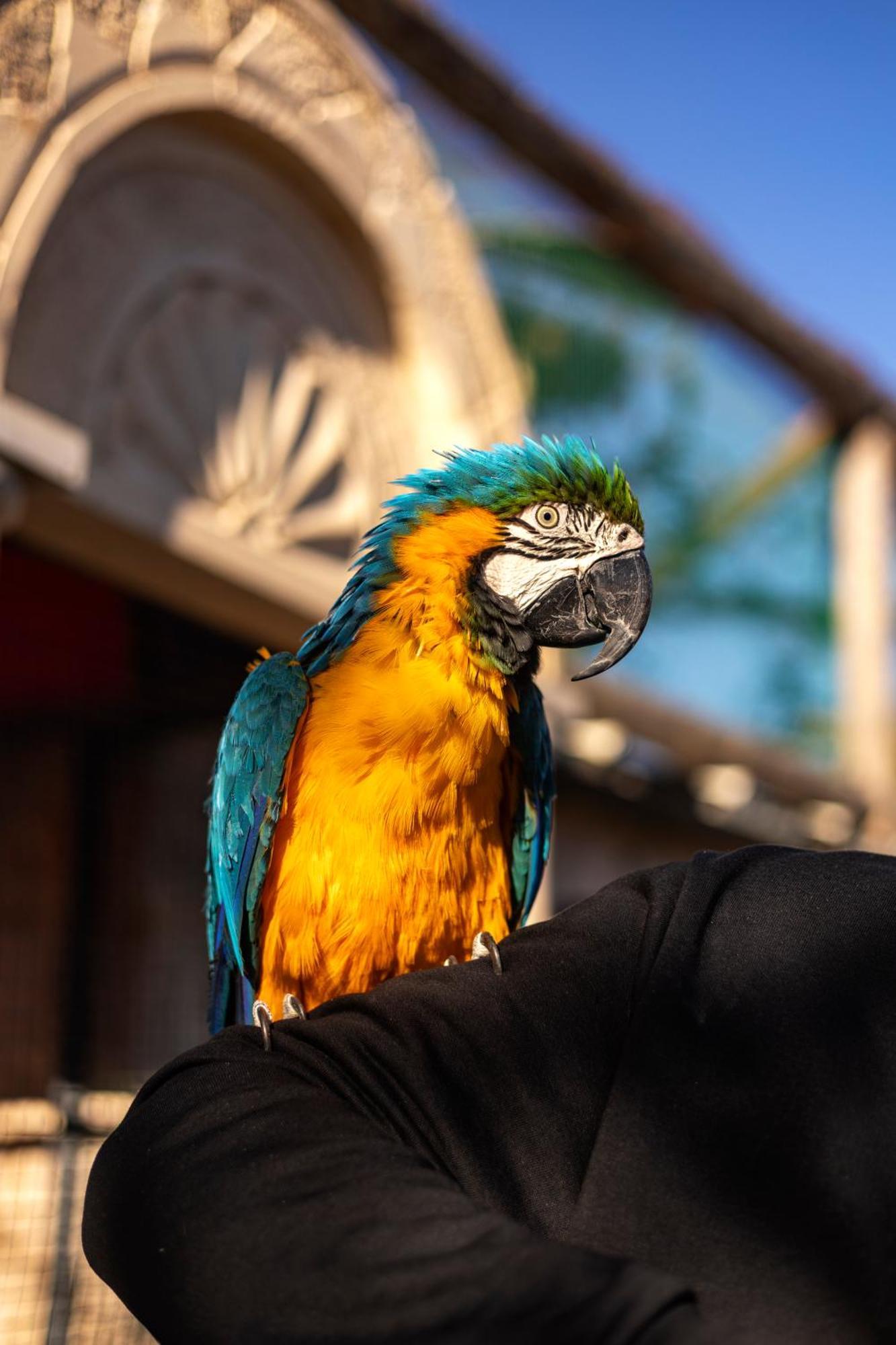 Hotel Ajwa Cappadocia - Preferred Legend Collection