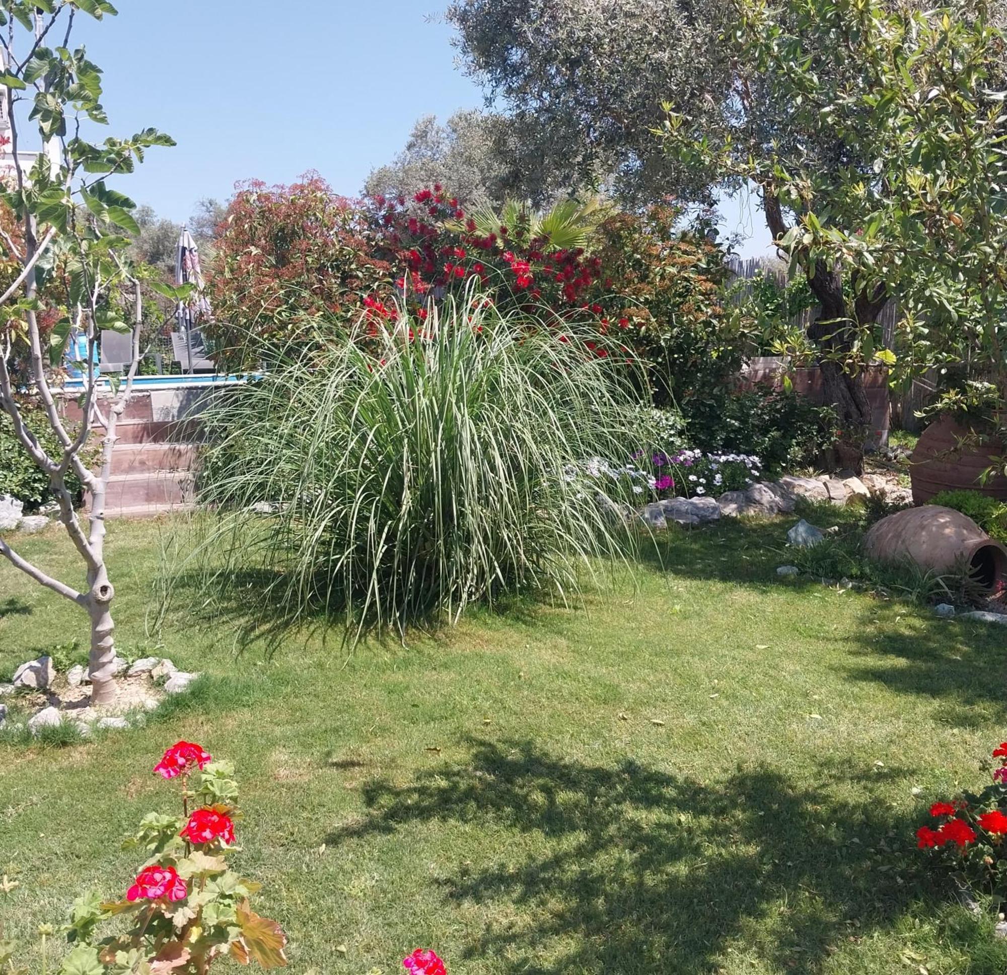 Bed & Breakfast B&B Kusadasi