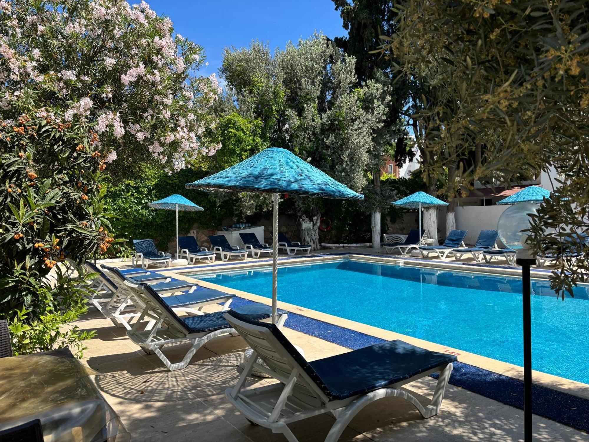Ali Baba Hotel