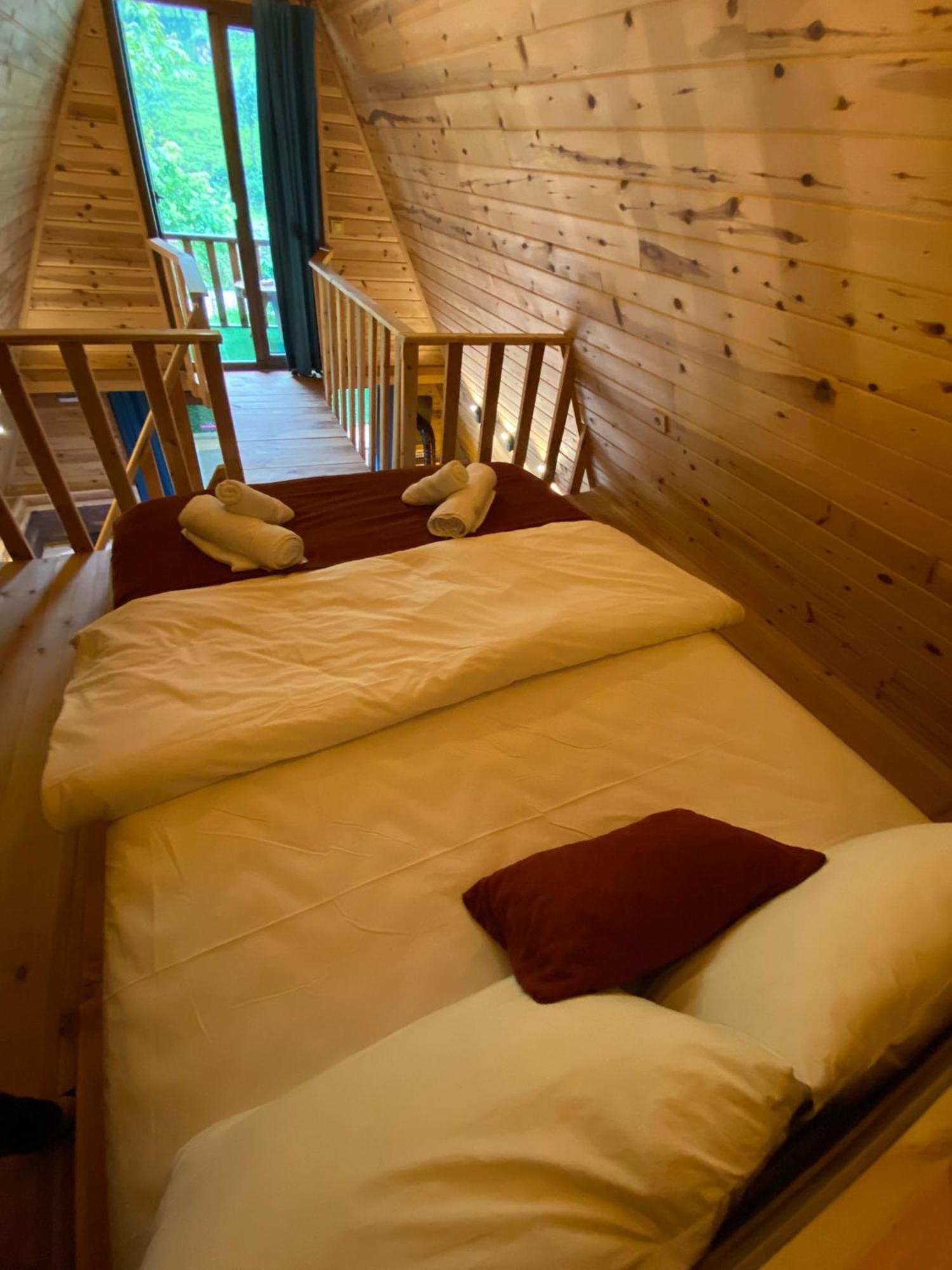 Elasya Lodge