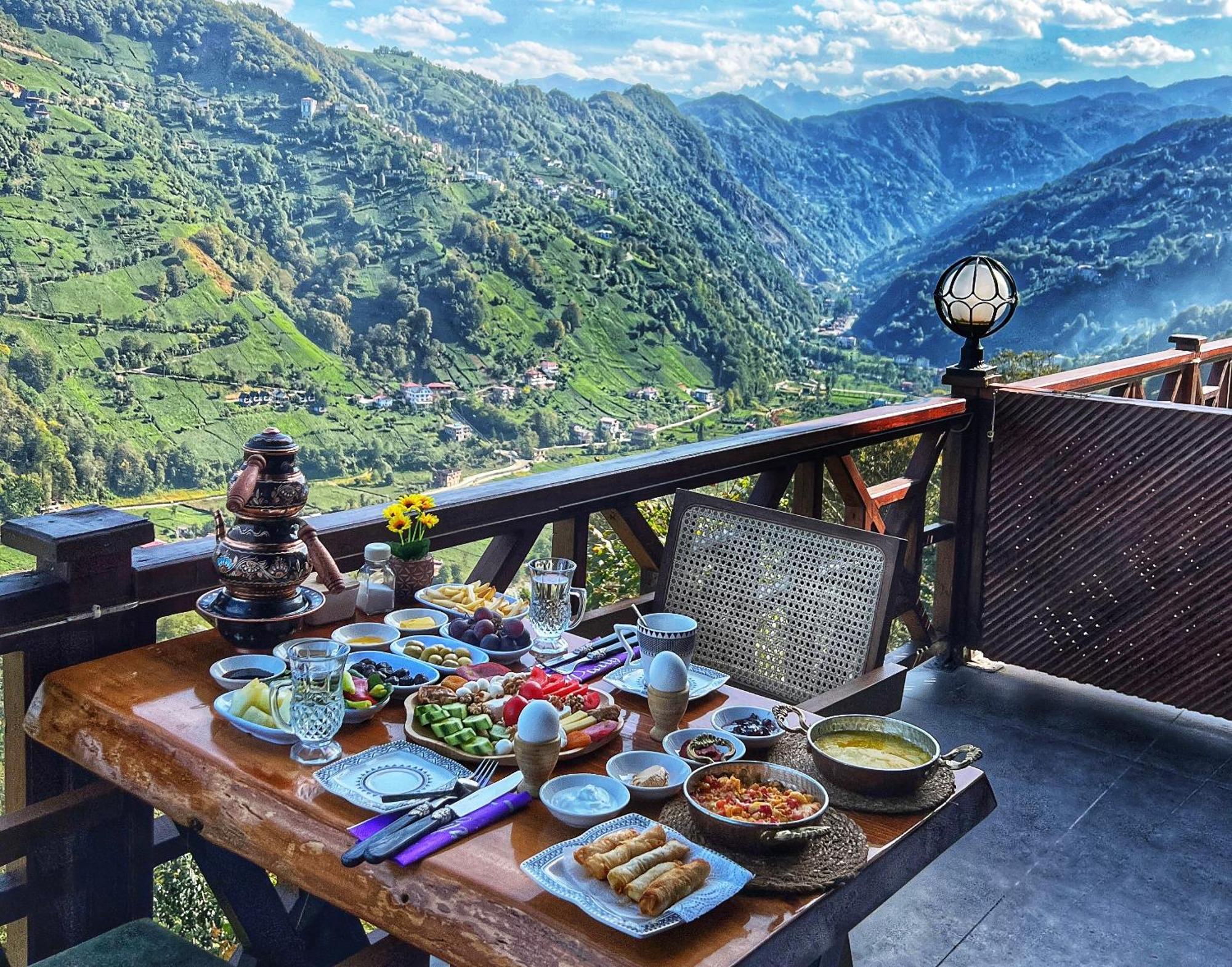 Hayatburda Country house *