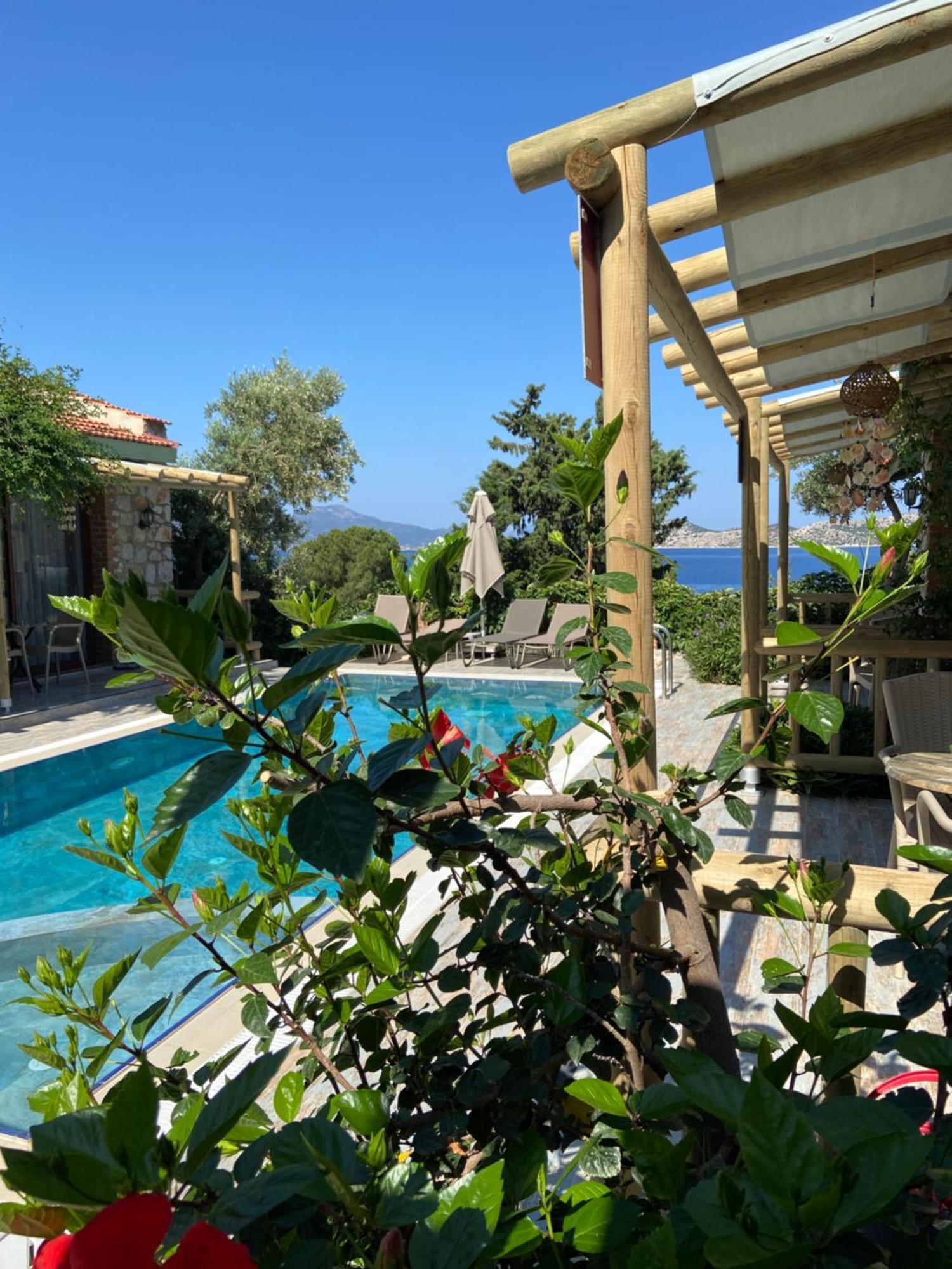 Suna House