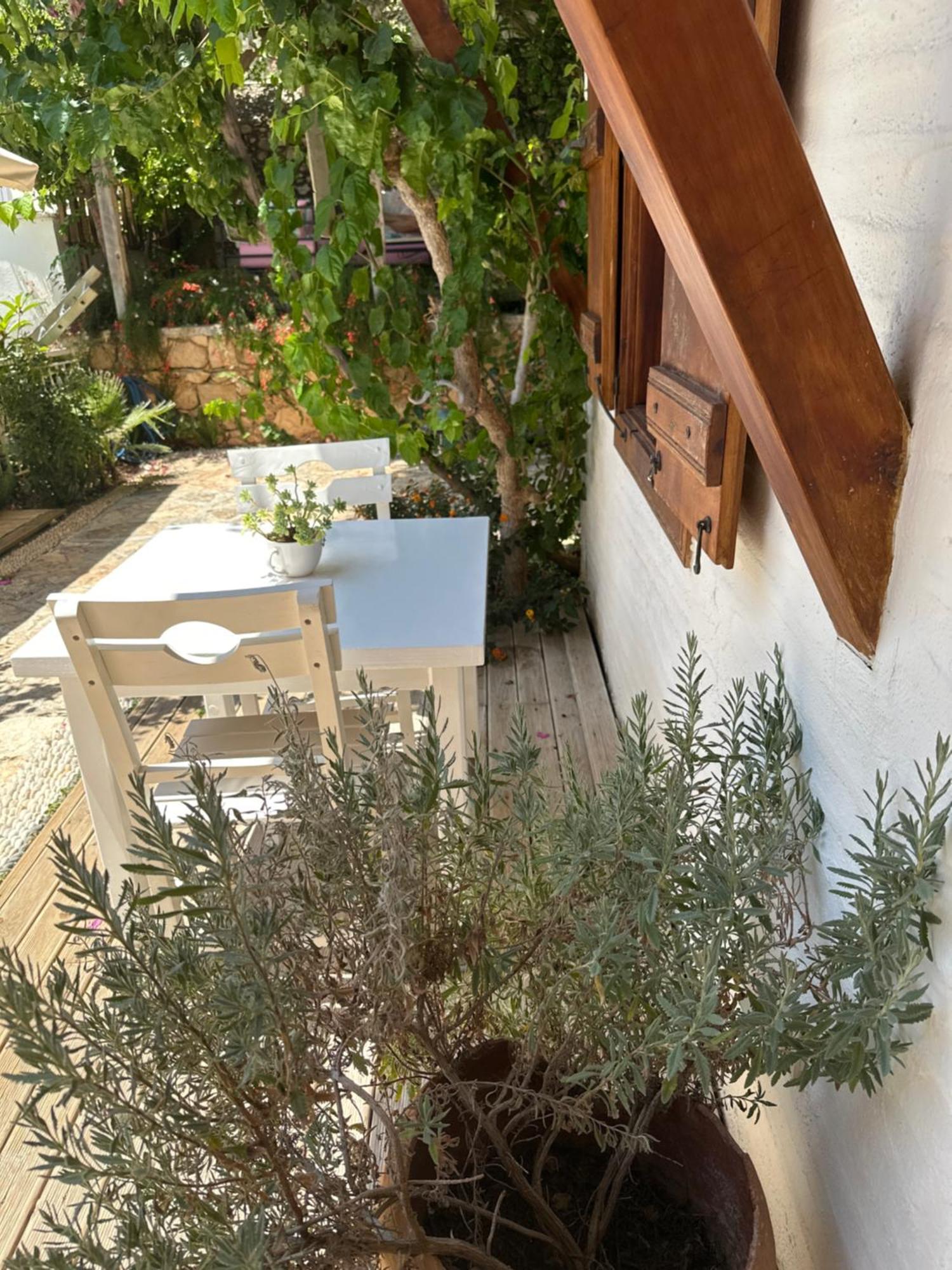 Hotel Courtyard