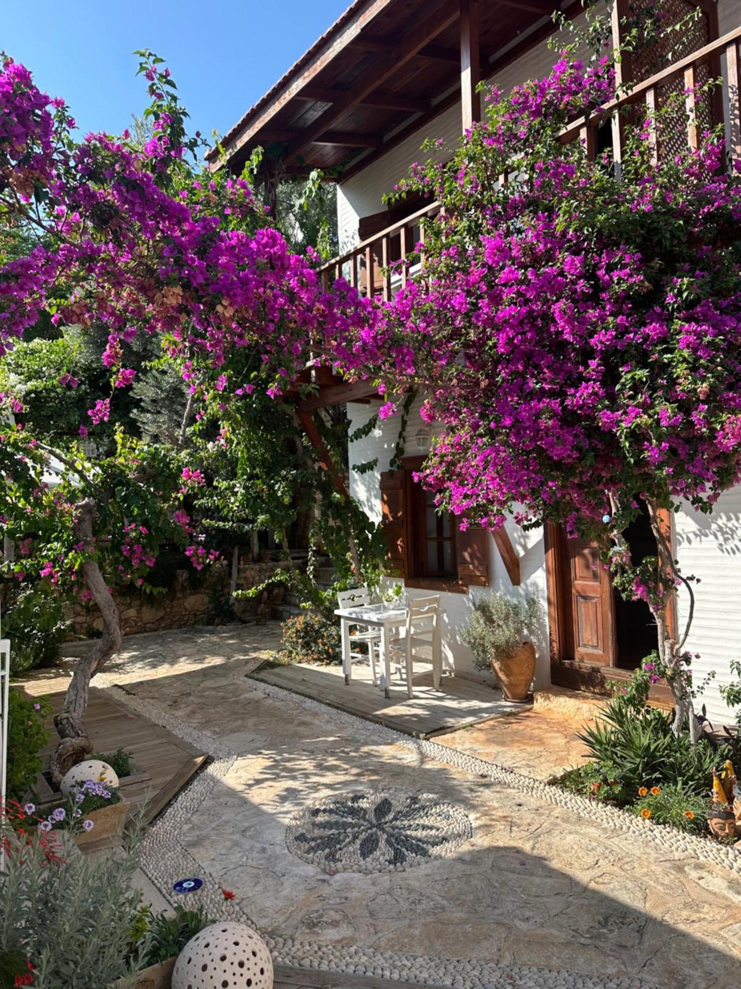 Hotel Courtyard Kalkan