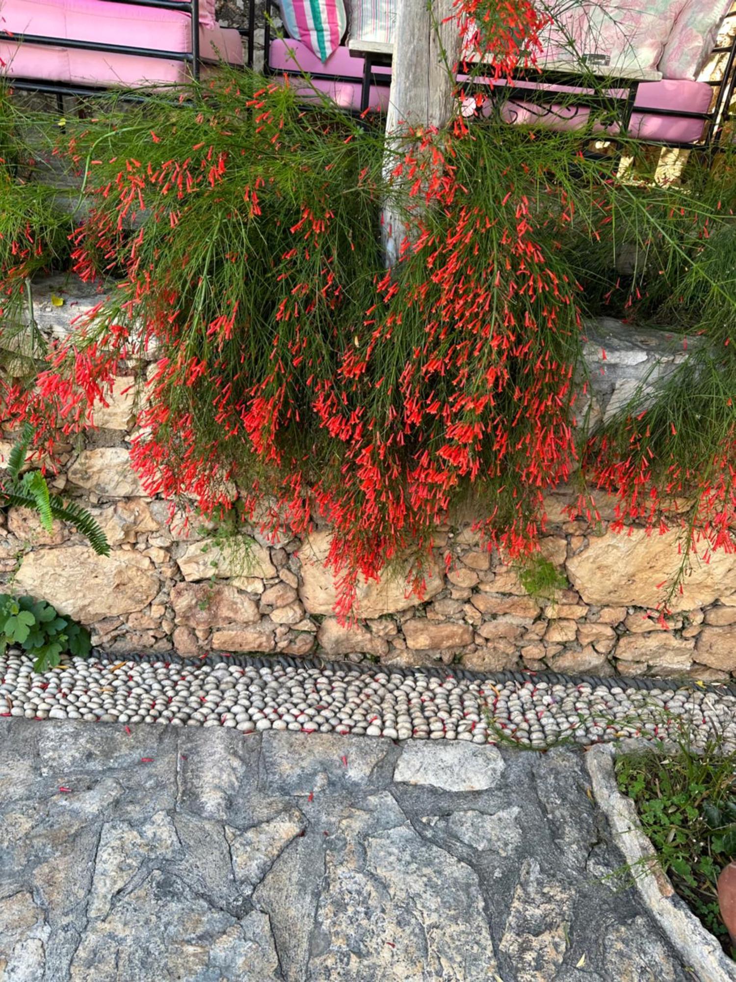 Courtyard Kalkan