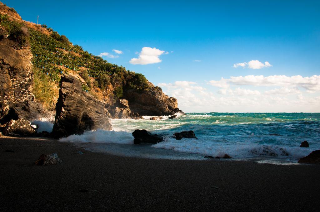 Koru Beach Club