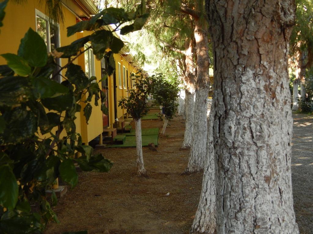 Koru Beach Club Hotel